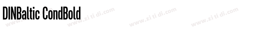 DINBaltic CondBold字体转换